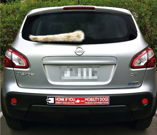 Mobility Dogs: Wagging Tail