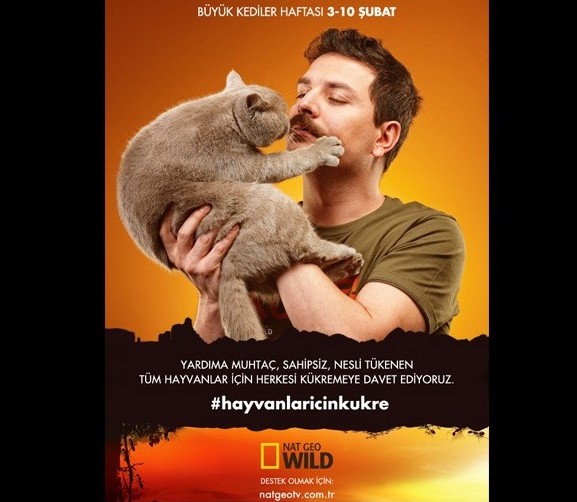 Bu hafta bitmeden kükreyin!