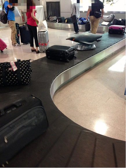 Japonya’da bagaj bantları ziyaretçileri bilgilendirmek için kullanılıyor.