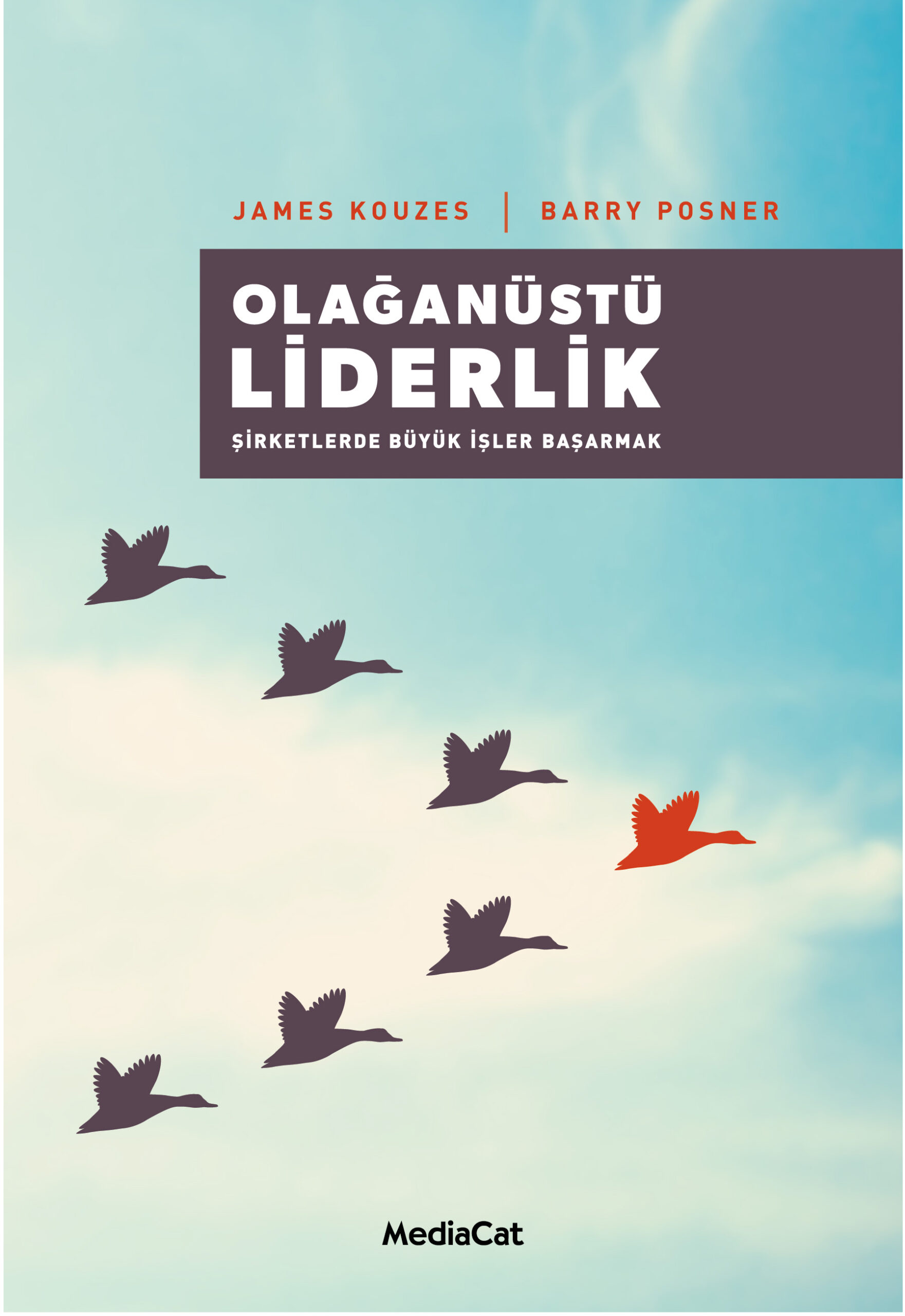olağanüstü Liderlik