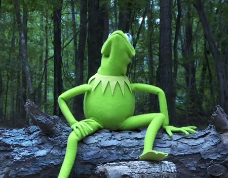 Kermit çırılçıplak Ice Bucket Challenge yaparsa…