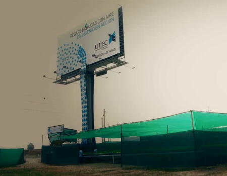Marul yetiştiren billboard