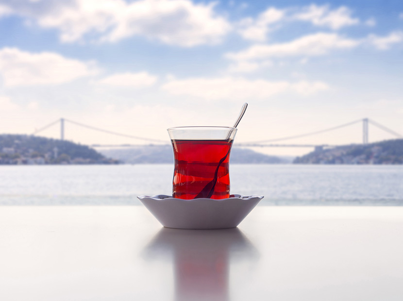 “Türk gençliğini çaya çekmek istiyoruz”