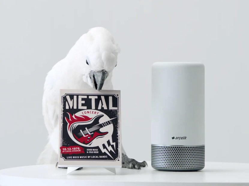 Metal tutkunu bir papağan