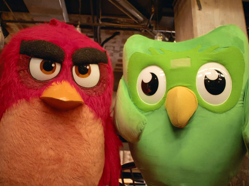 Duolingo ve Angry Birds’ten agresif işbirliği
