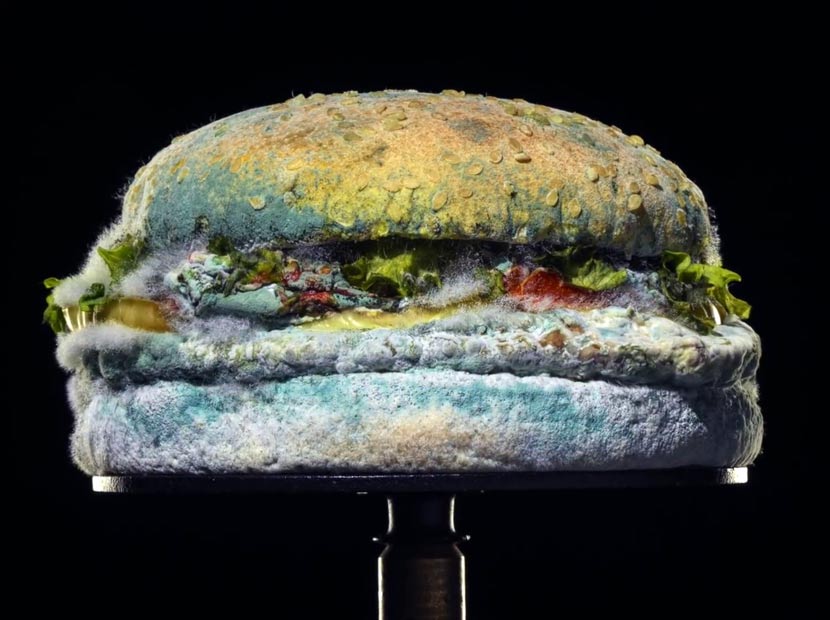 Burger King sunar: Küflü Whopper