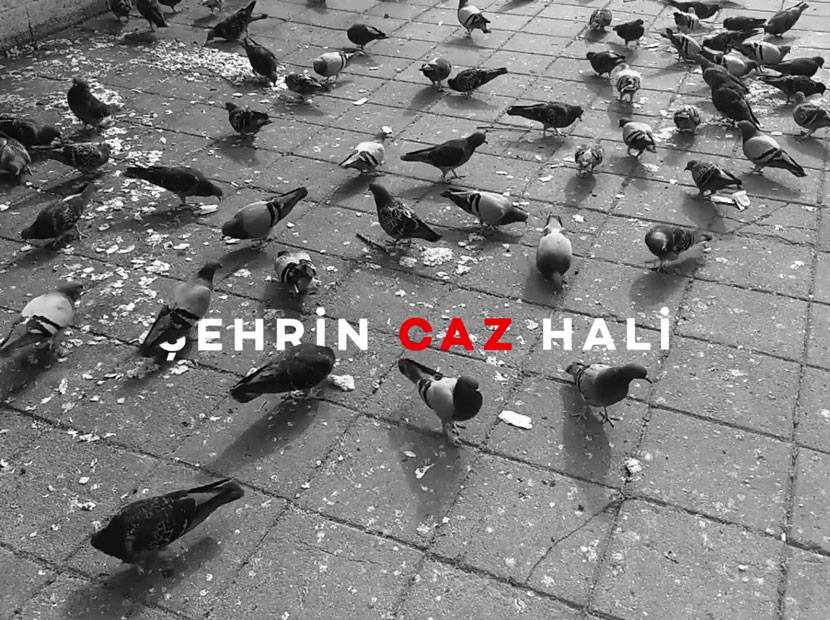 Evin caz hali