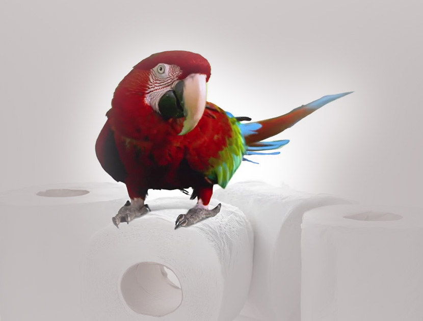 Sofia’dan “premium” temizlik hamlesi