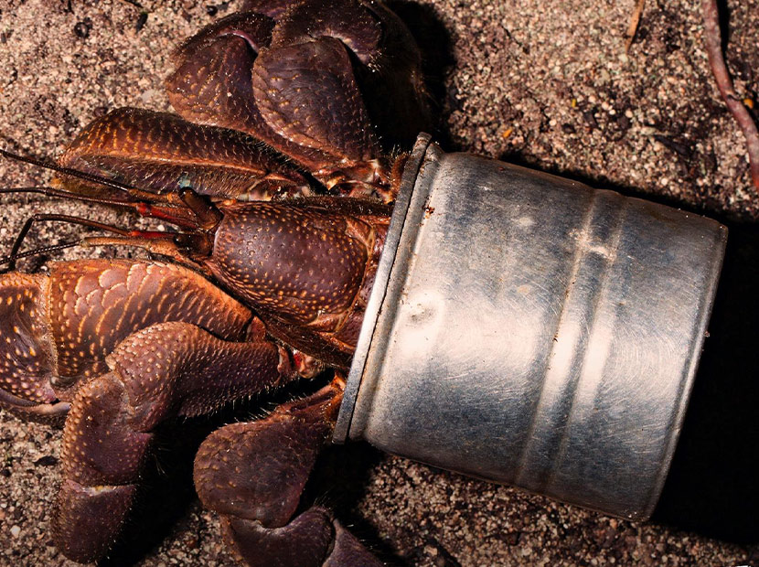 Geri dönüşü varken geridönüştür