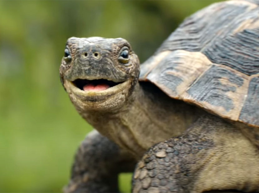 Trenle seyahatin dayanılmaz hafifliği