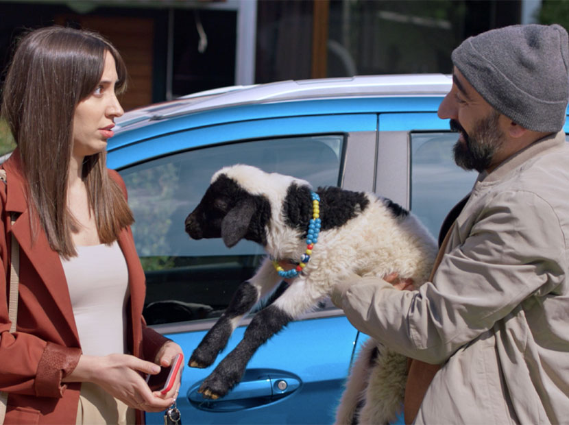 İkinci el arabada tuhaf sürprizlere son