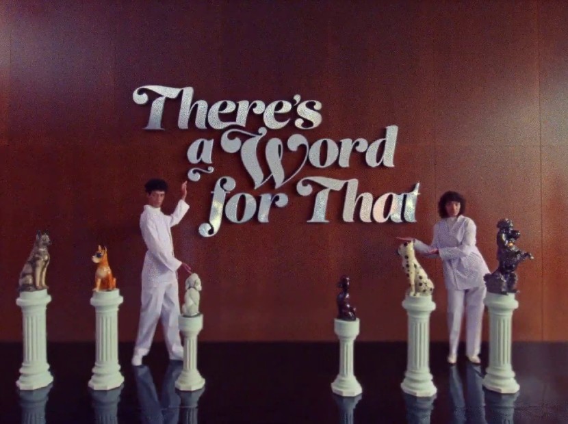 Yeni kelimeler öğrenmenin güzelliği