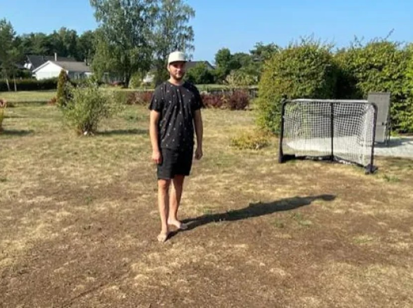 En çirkin çimenlik yarışması