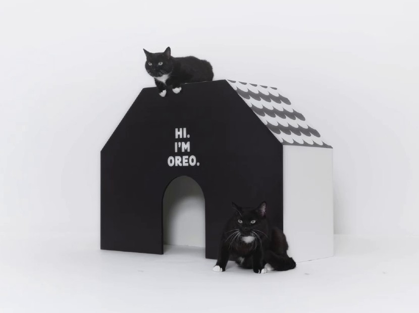 Adaşlarına yuva arayan marka