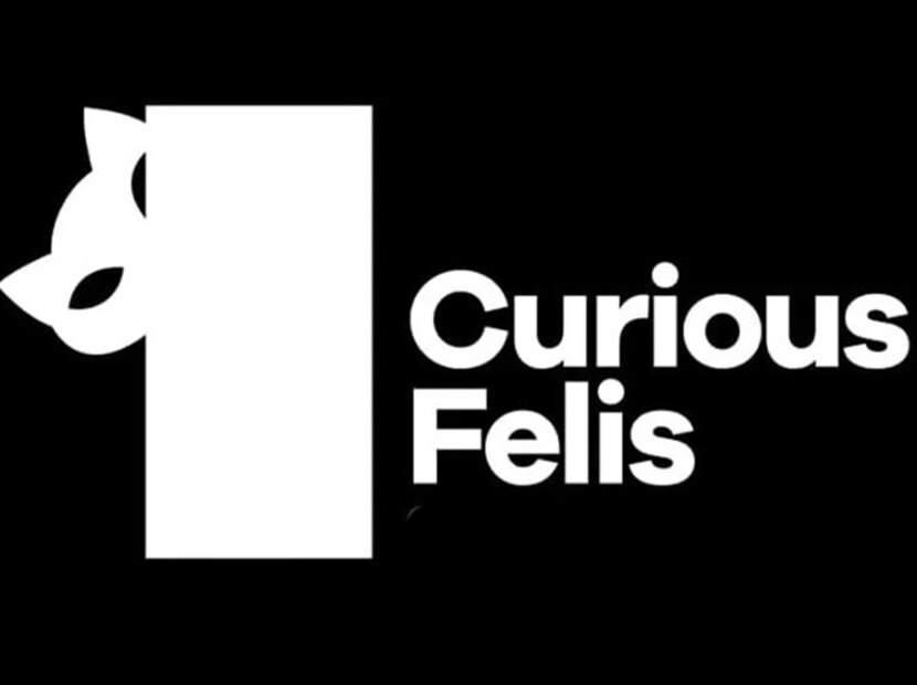 Curious Felis Yaratıcı Strateji Bölümü finalistleri belli oldu