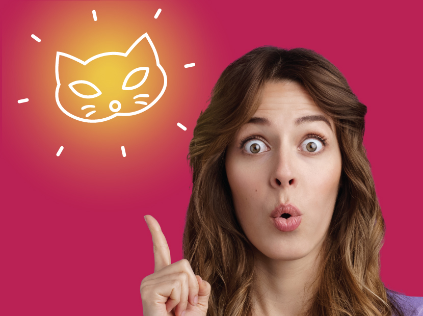 Felis başvuruları uzatıldı