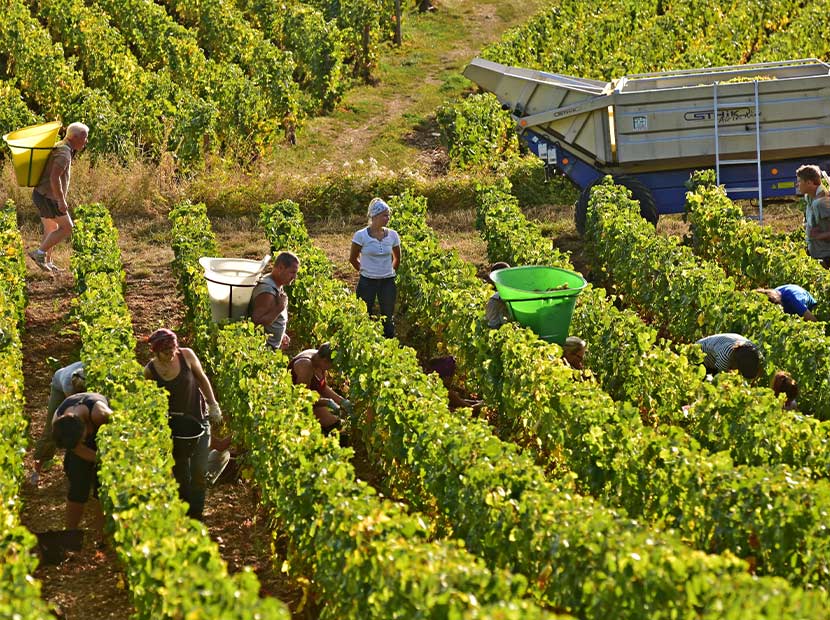 Güvencesiz istihdam problemi nasıl çözülür?