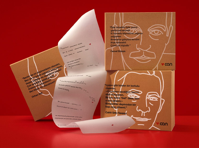 Koleksiyonluk kitap kutuları