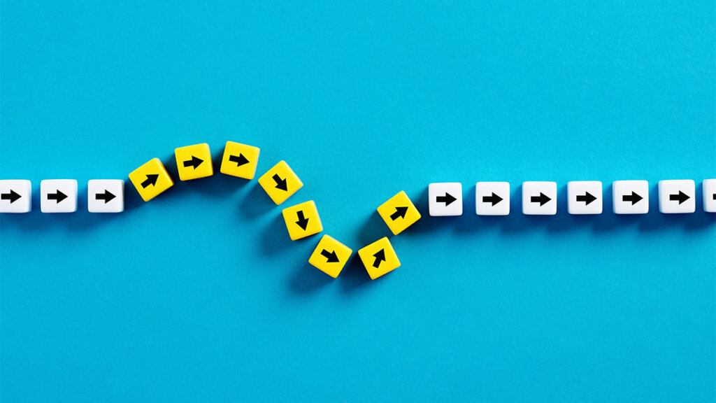 Bir uyumlanma hikâyesi