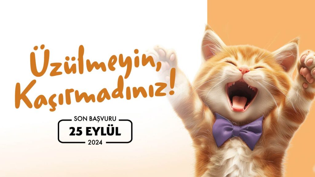 Felis'e başvurmak için son şans