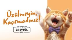 Felis’e başvurmak için son şans