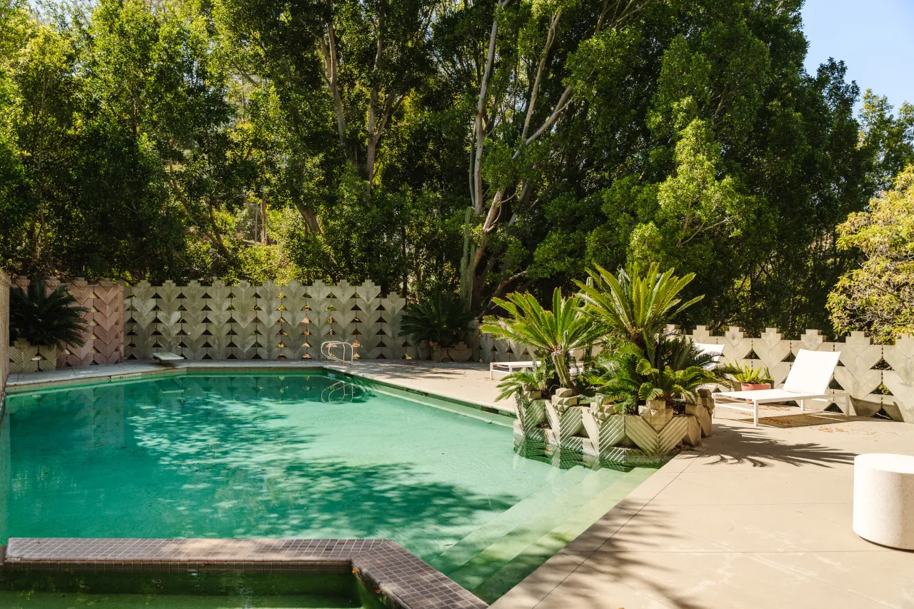 Fotoğraf / Neue Focus