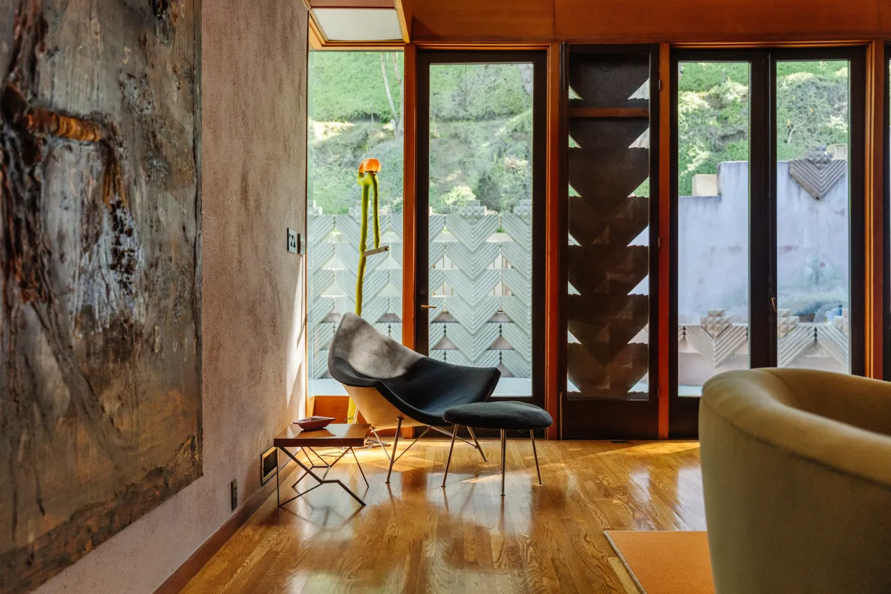 Fotoğraf / Neue Focus