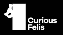 Curious Felis Ödülleri dağıtıldı