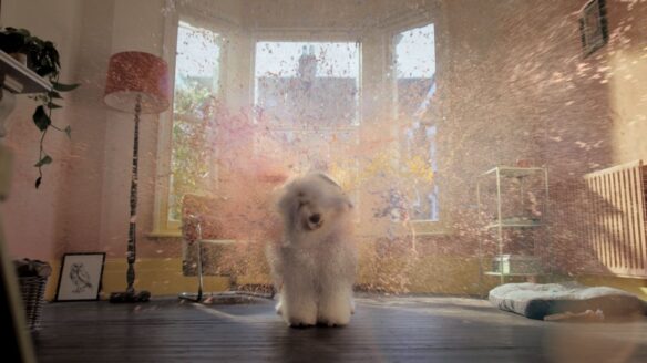 Dulux’un efsanevi maskotu sihirli bir güçle geri döndü