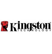 Kingston Teknoloji dünyada 2006’nın bir numaralı bellek üreticisi