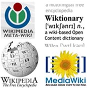 Wikipedia bağış topluyor
