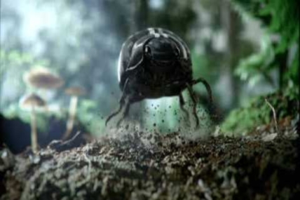 Küçük VW’ya kocaman etkinlik pazarlaması